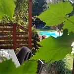 Pool &