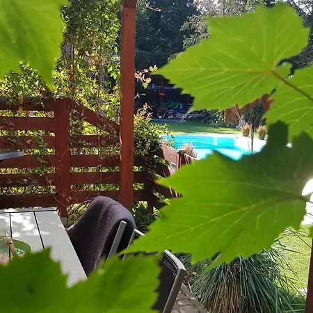 Pool &