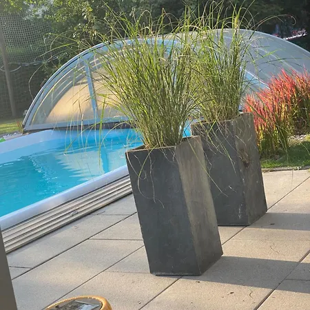 Pool &