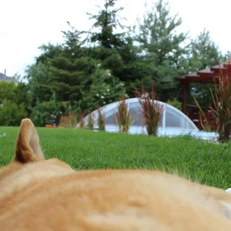 Сasa de vacaciones Pool & *