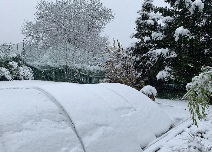 Dom wakacyjny Pool & Markkleeberg