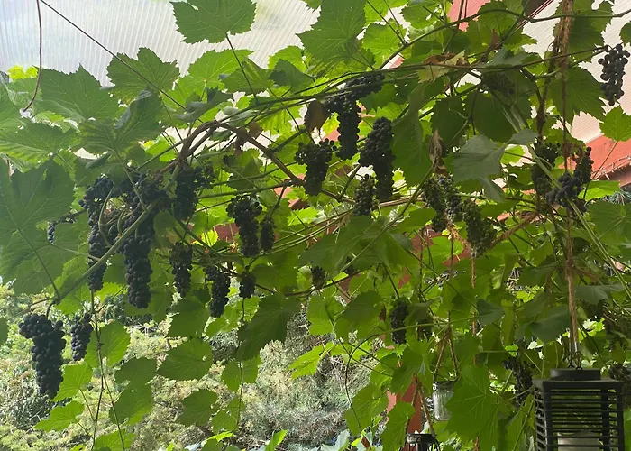 Pool & Dom wakacyjny