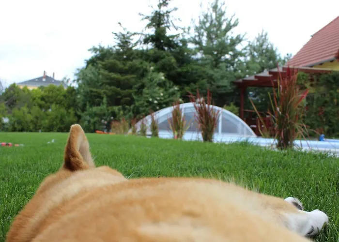 Dom wakacyjny Pool & *