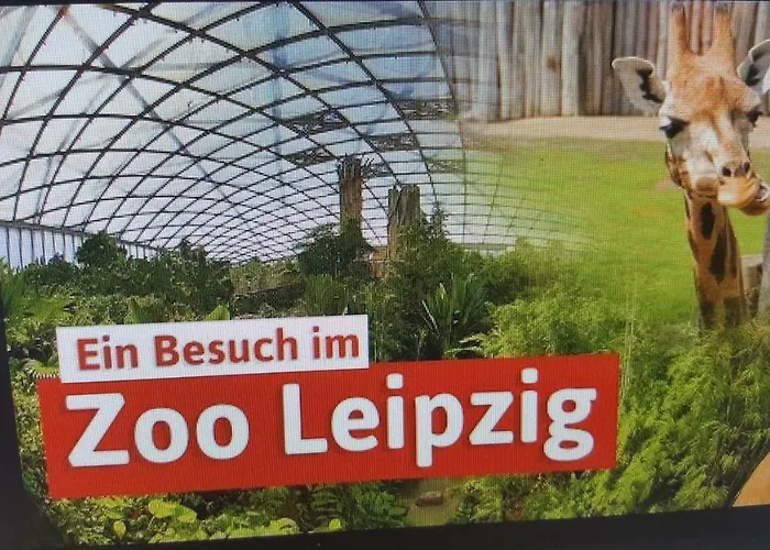 Pool & * Markkleeberg