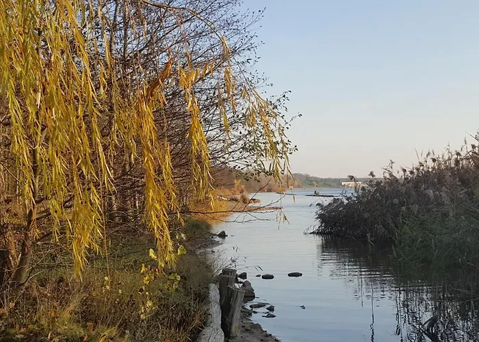 Dom wakacyjny Pool & *